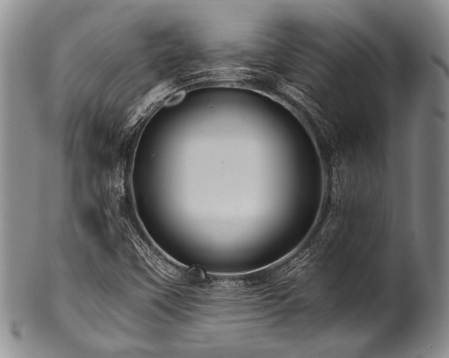 X0000101121451200806261425