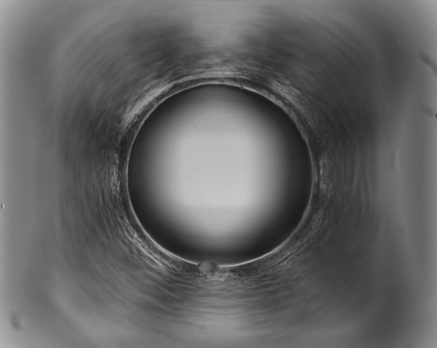 X0000101121452200806261425
