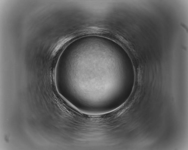 X0000101121453200806261425