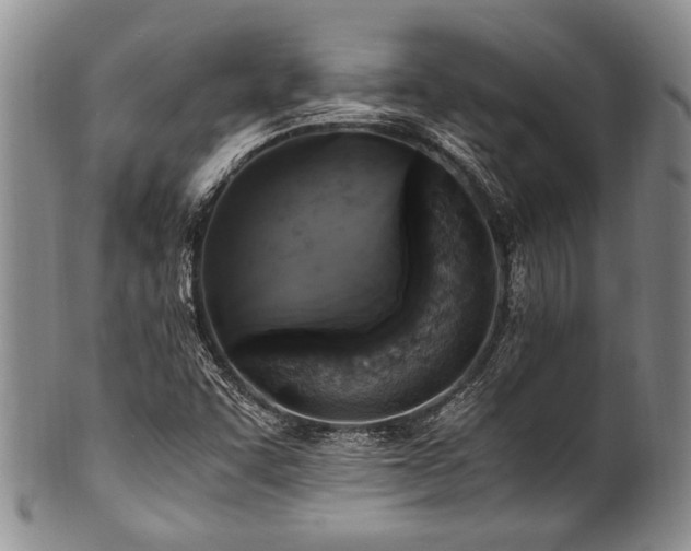 X0000101121455200806261425