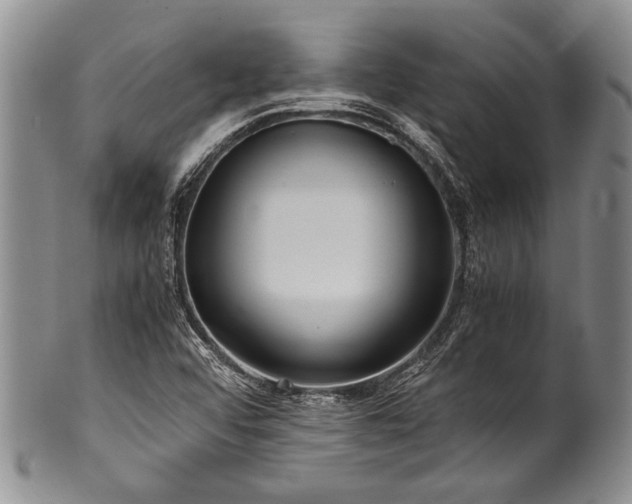 X0000101121456200806261425