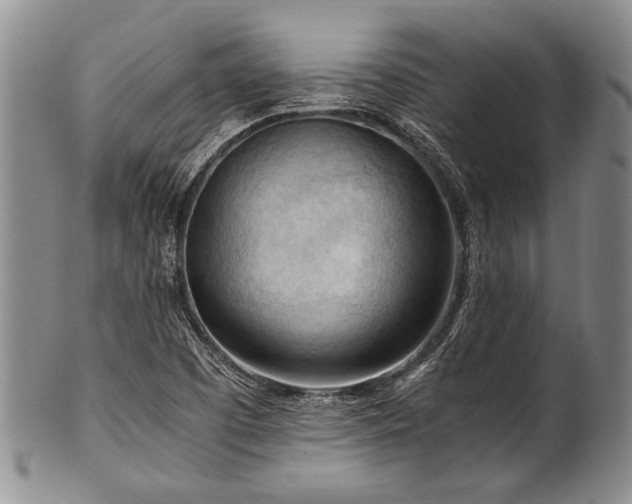 X0000101121457200806261425