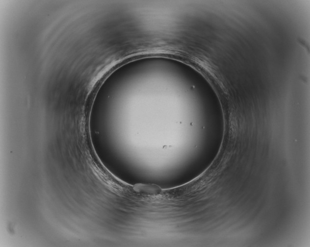 X0000101121460200806261425