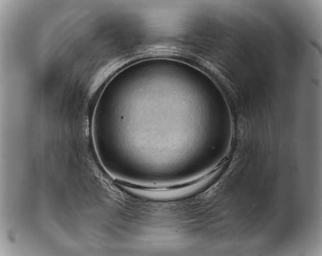 X0000101121461200806261425