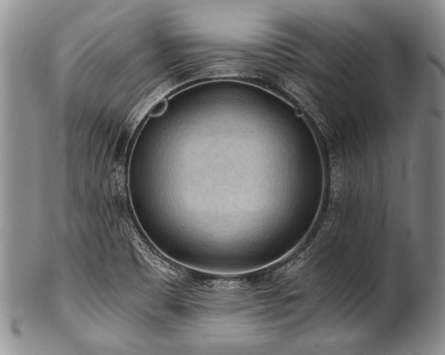 X0000101121465200806261425