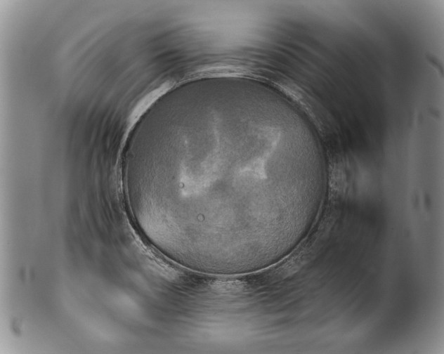 X0000101121466200806261425