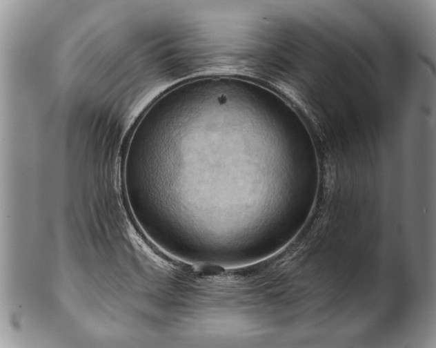X0000101121468200806261425