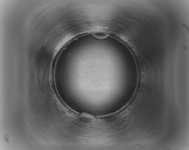 X0000101121469200806261425
