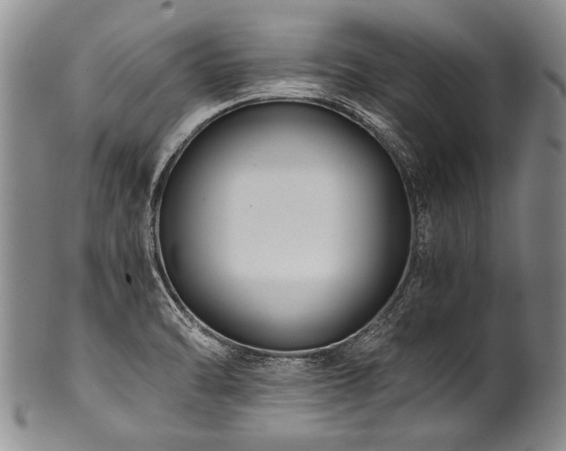 X0000101121470200806261425