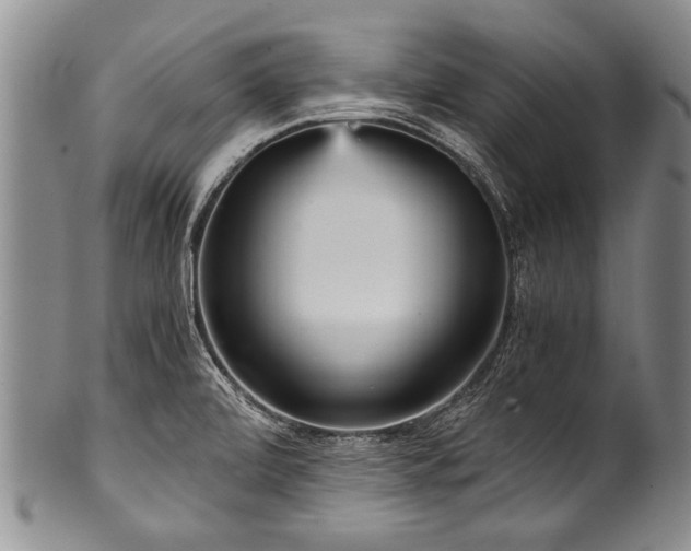 X0000101121472200806261425
