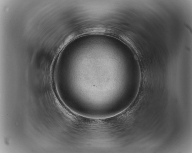 X0000101121475200806261424