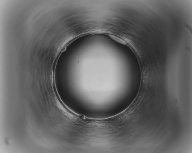X0000101121476200806261424