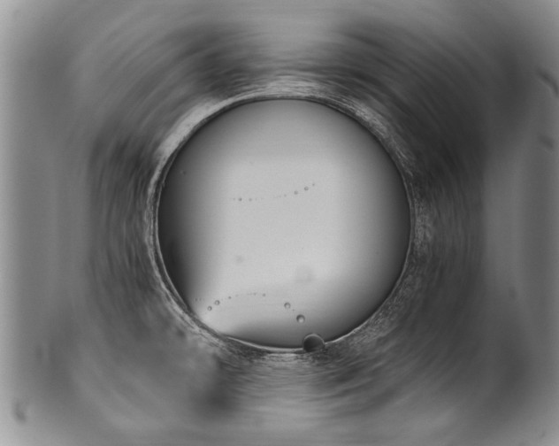 X0000101121478200806261424