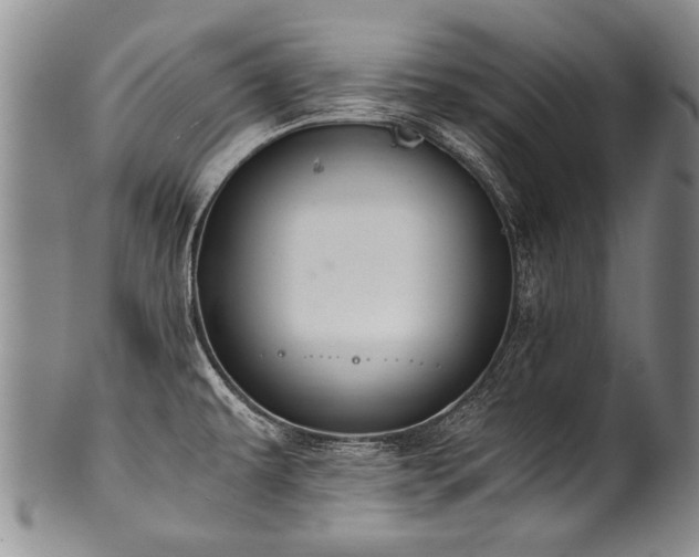 X0000101121479200806261424