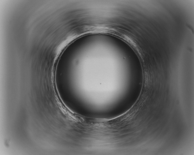 X0000101121480200806261424