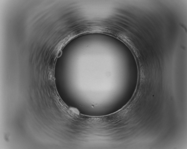 X0000101121481200806261424