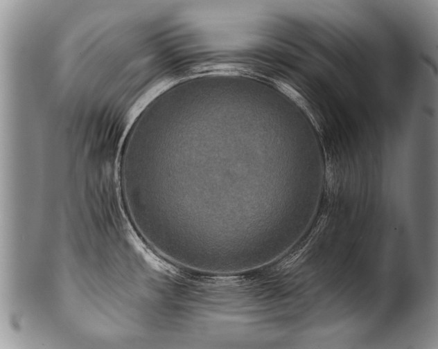 X0000101121482200806261424
