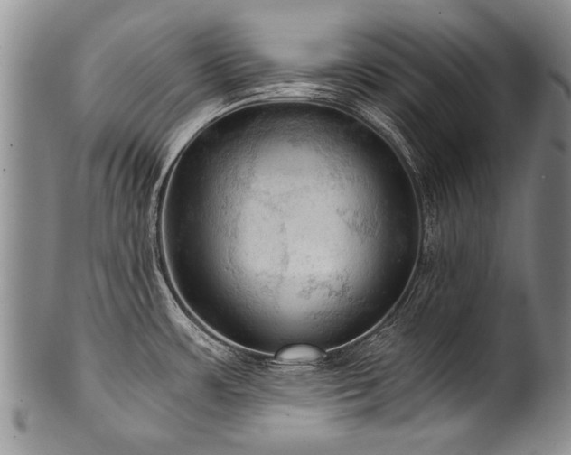 X0000101121483200806261424