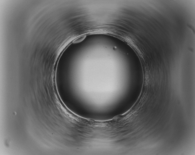 X0000101121484200806261424