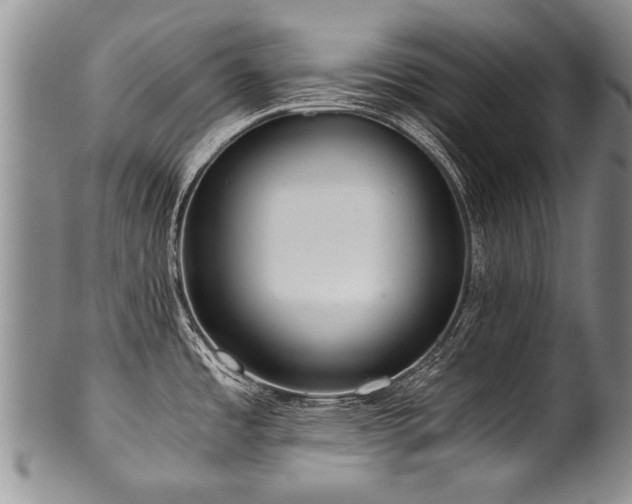 X0000101121485200806261424