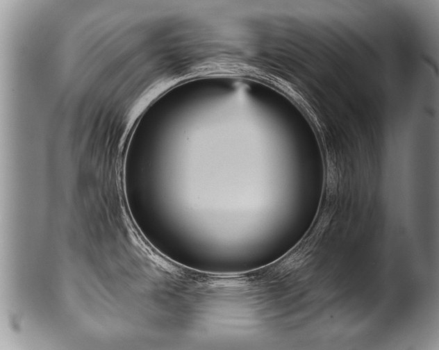 X0000101121486200806261424