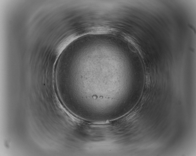 X0000101121487200806261424
