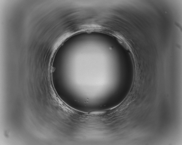 X0000101121488200806261424