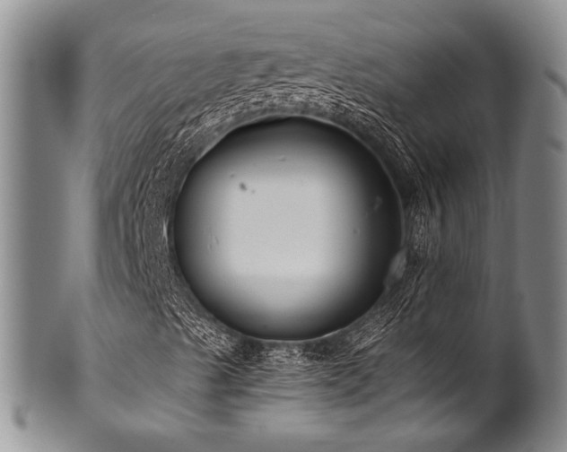 X0000101121489200806261424