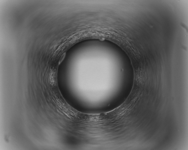 X0000101121490200806261424