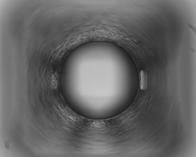 X0000101121491200806261424