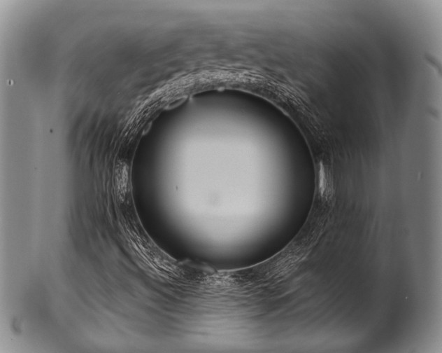 X0000101121492200806261424