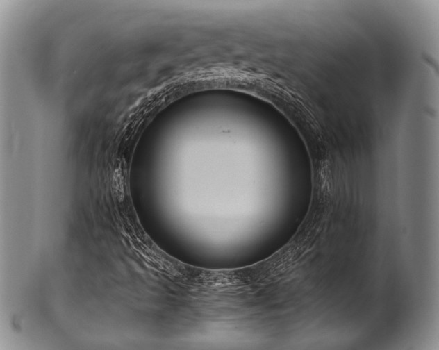 X0000101121493200806261424