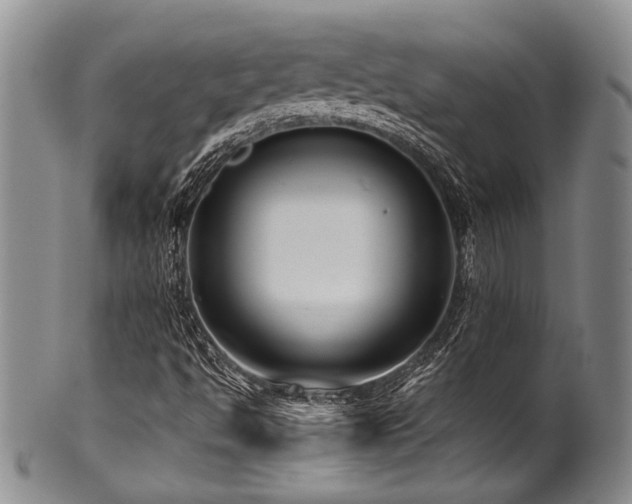 X0000101121494200806261424
