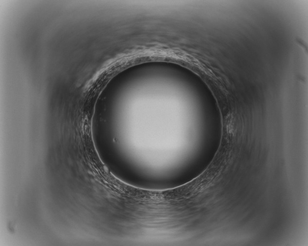 X0000101121495200806261424
