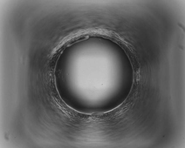 X0000101121496200806261424