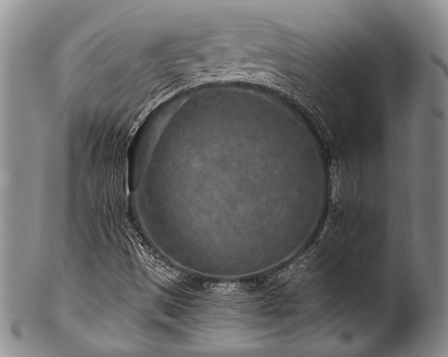 X0000101121497200806261424