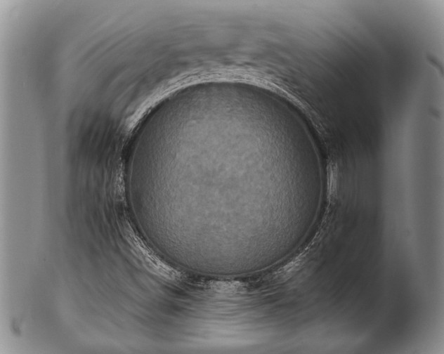 X0000101121498200806261424