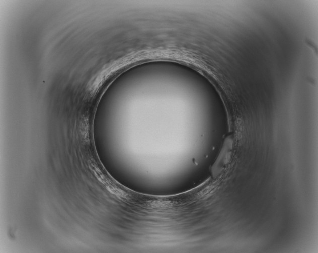 X0000101121499200806261424