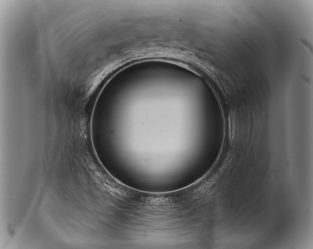 X0000101121501200806261424