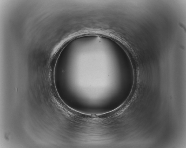 X0000101121502200806261424
