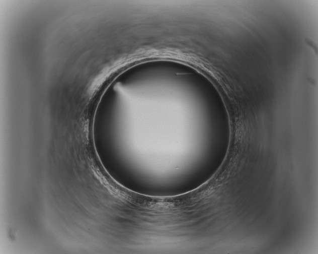 X0000101121503200806261424