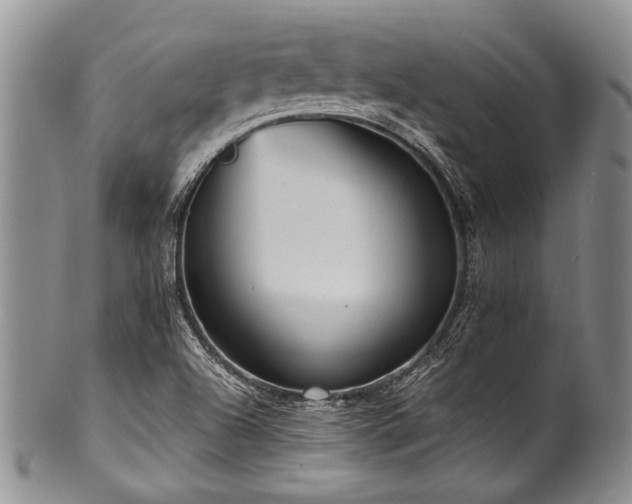 X0000101121504200806261424