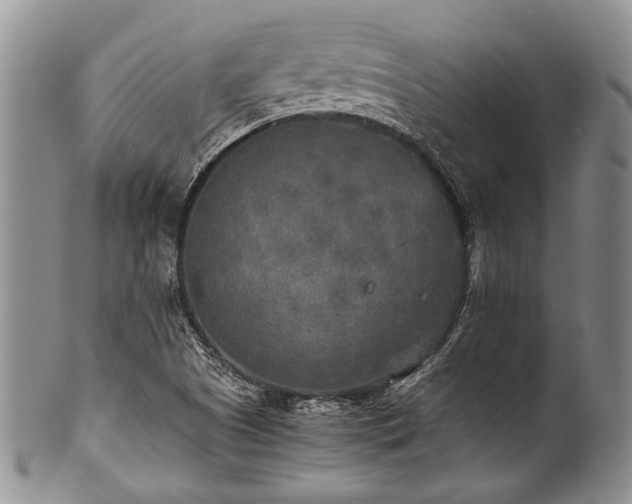X0000101121505200806261424