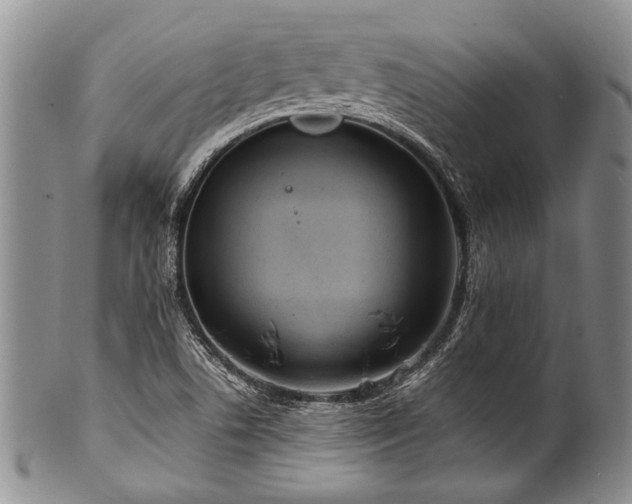 X0000101121506200806261424