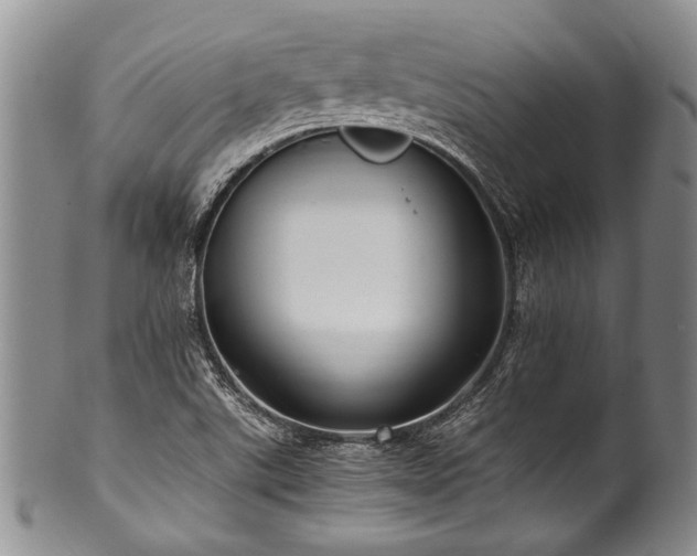X0000101121507200806261424