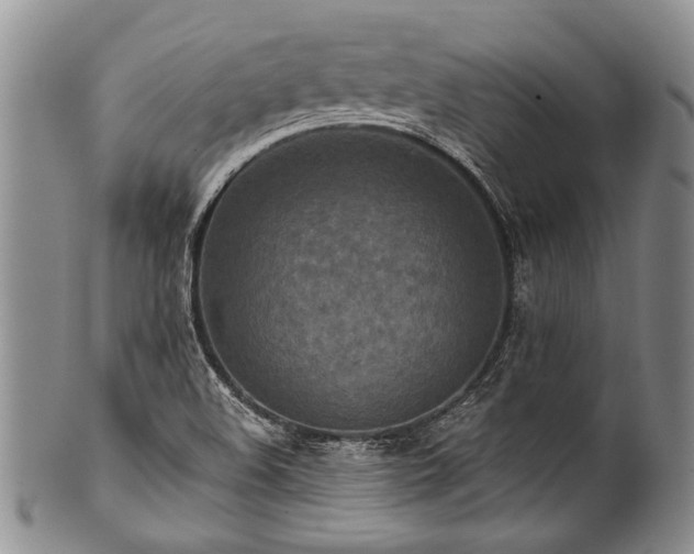 X0000101121508200806261424