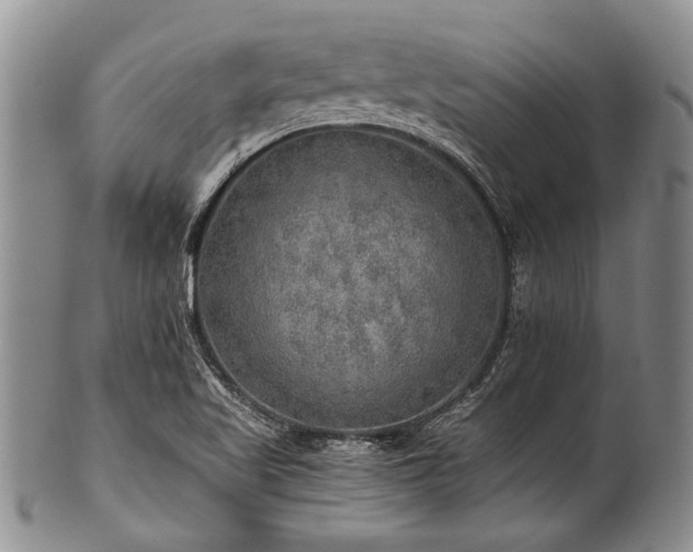 X0000101121509200806261424