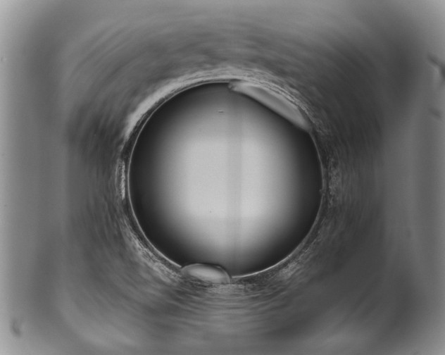 X0000101121510200806261424