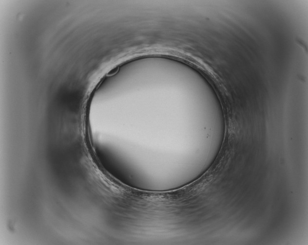 X0000101121512200806261424