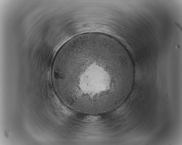X0000101121513200806261424